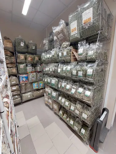 Specjalistyczny sklep zoologiczny dla królików i gryzoni - Świat4Łap